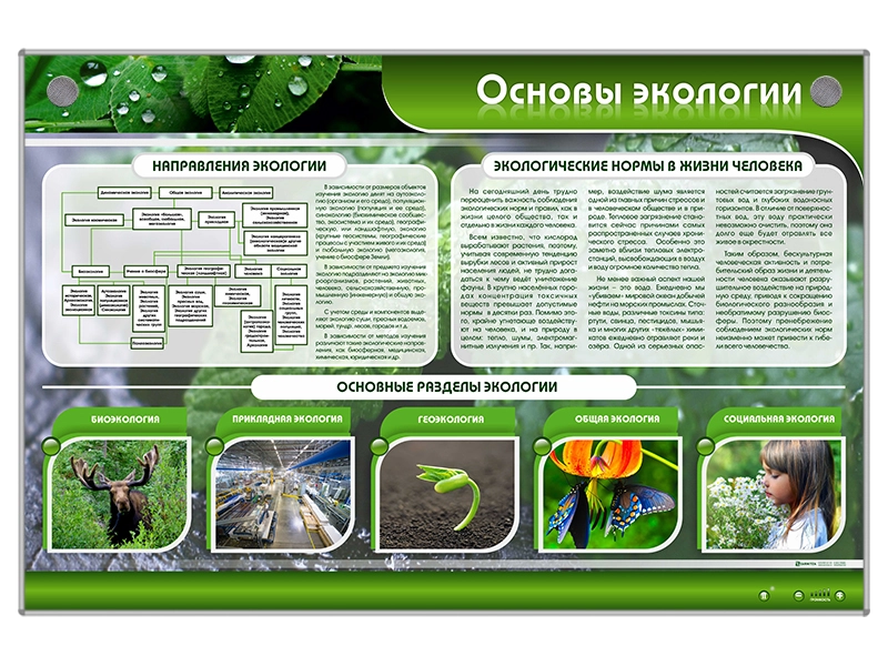 Электрифицированный стенд "Основы экологии"
